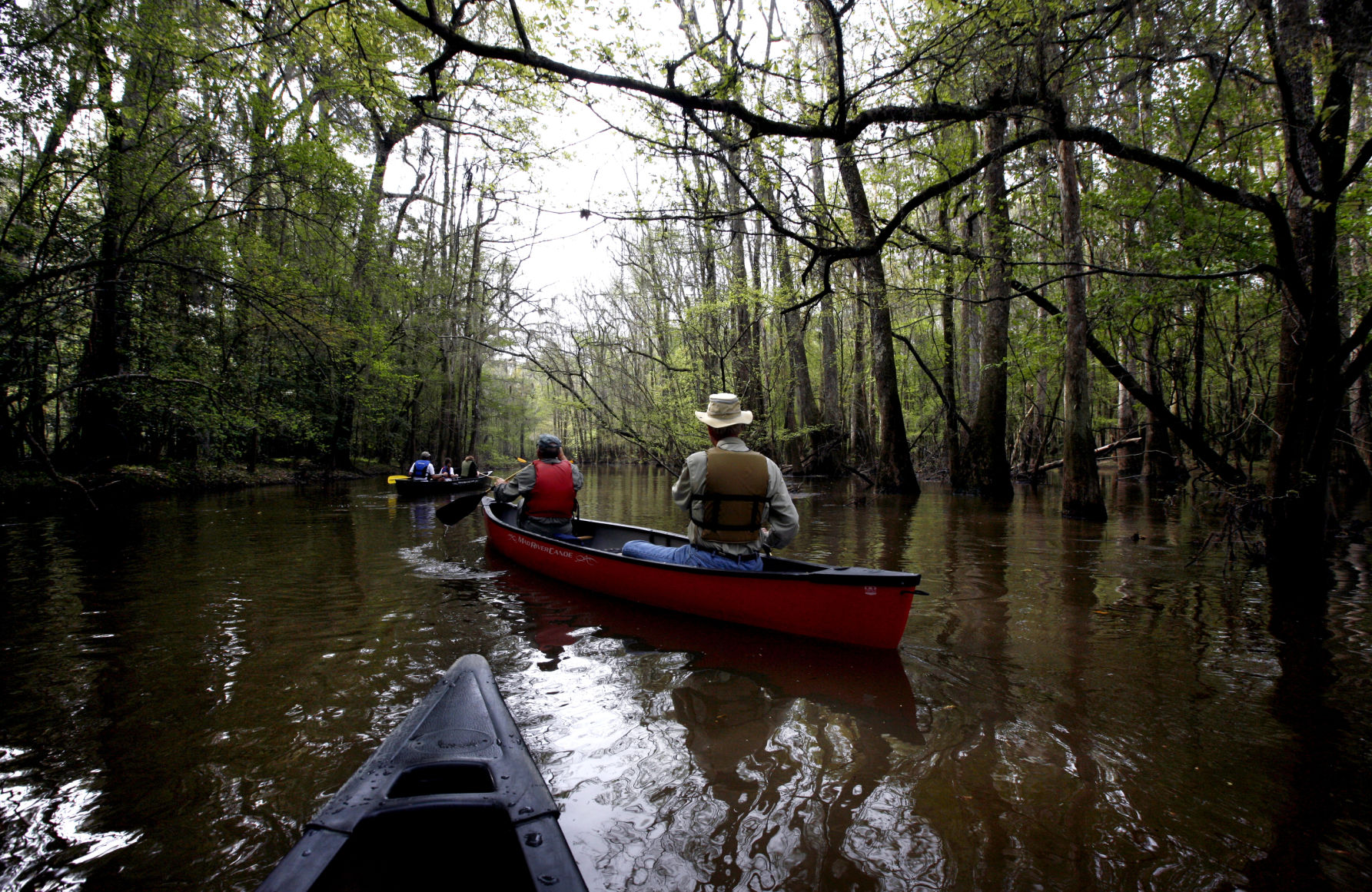South Carolina National Parks (copy)